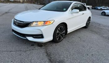 WhatsApp Image 2026-02-26 at 17.54.04