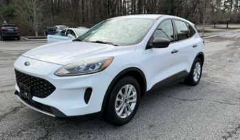 WhatsApp Image 2026-02-26 at 17.54.57