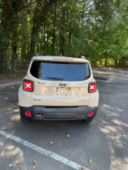 
										2017 Jeep Renegade full									