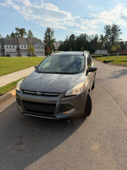 
										2014 Ford Escape SE full									